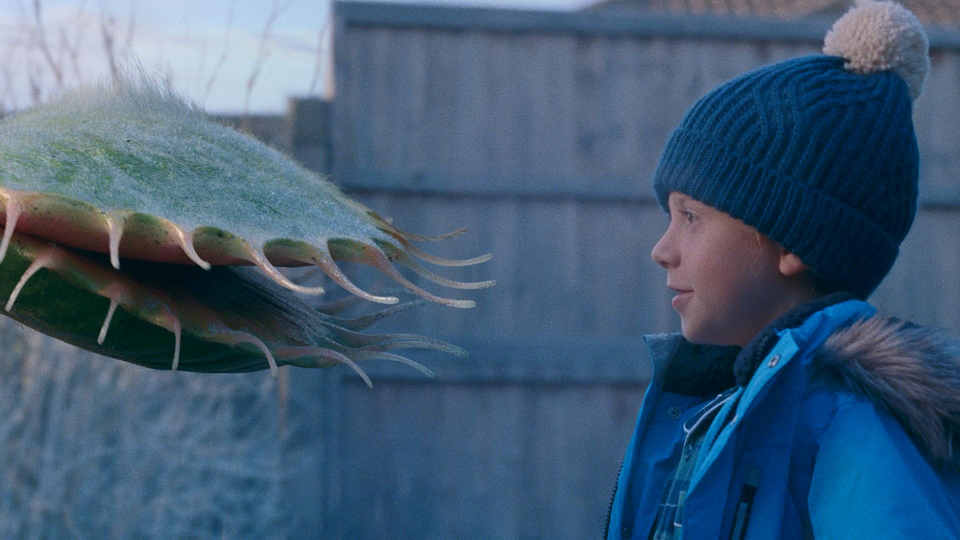 Still from the John Lewis Christmas ad 2023 showing a venus flytrap opposite a young boy wearing a wool hat