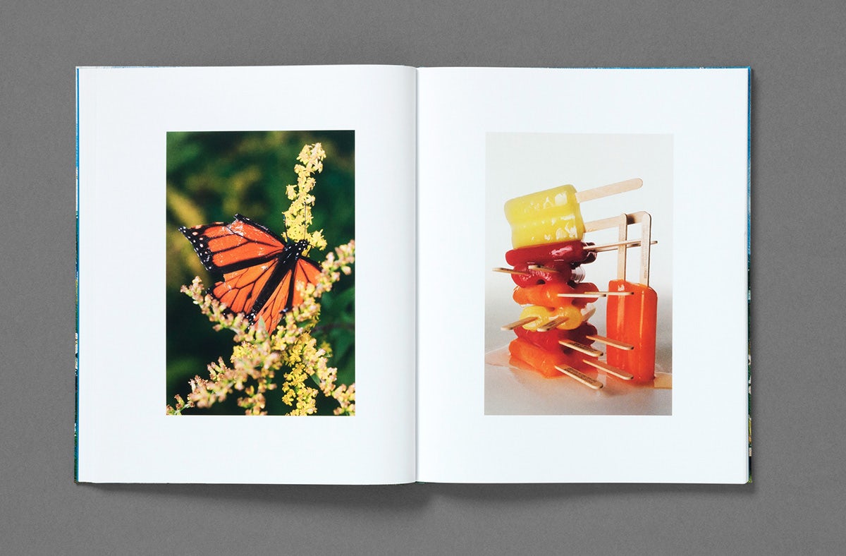 Image showing a spread from Dream About Nothing by Bobby Doherty, with a photo of an orange butterfly with a chunk missing from its wing on the left, and a stack of orange and yellow ice lollies on the right