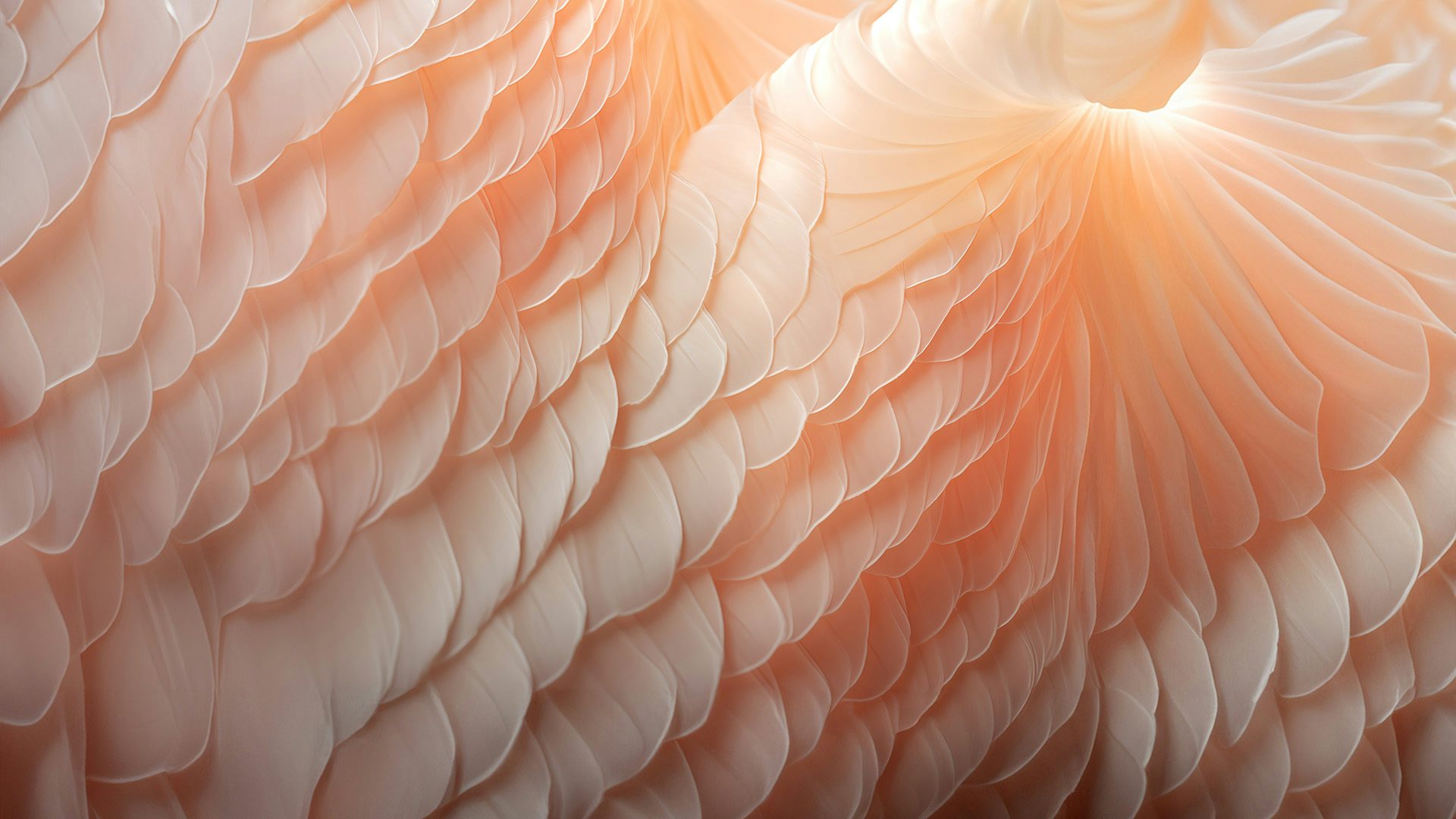 It’s all peachy, according to Pantone’s Colour of the Year 2024