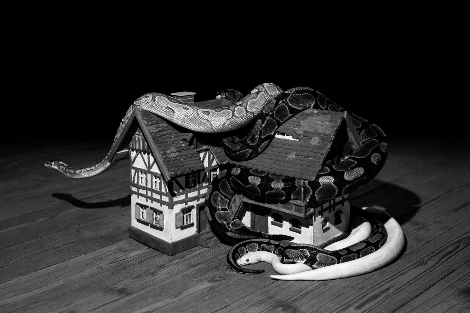 Black and white photograph from Plexus by Elena Helfrecht showing snakes coiled around a miniature replica of a building