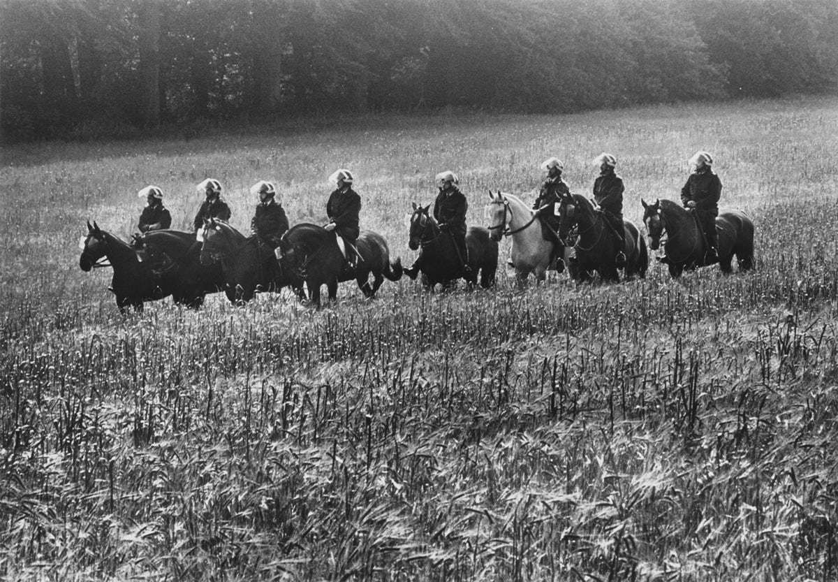 Black and white photograph of a row of police officers on horseback in a field