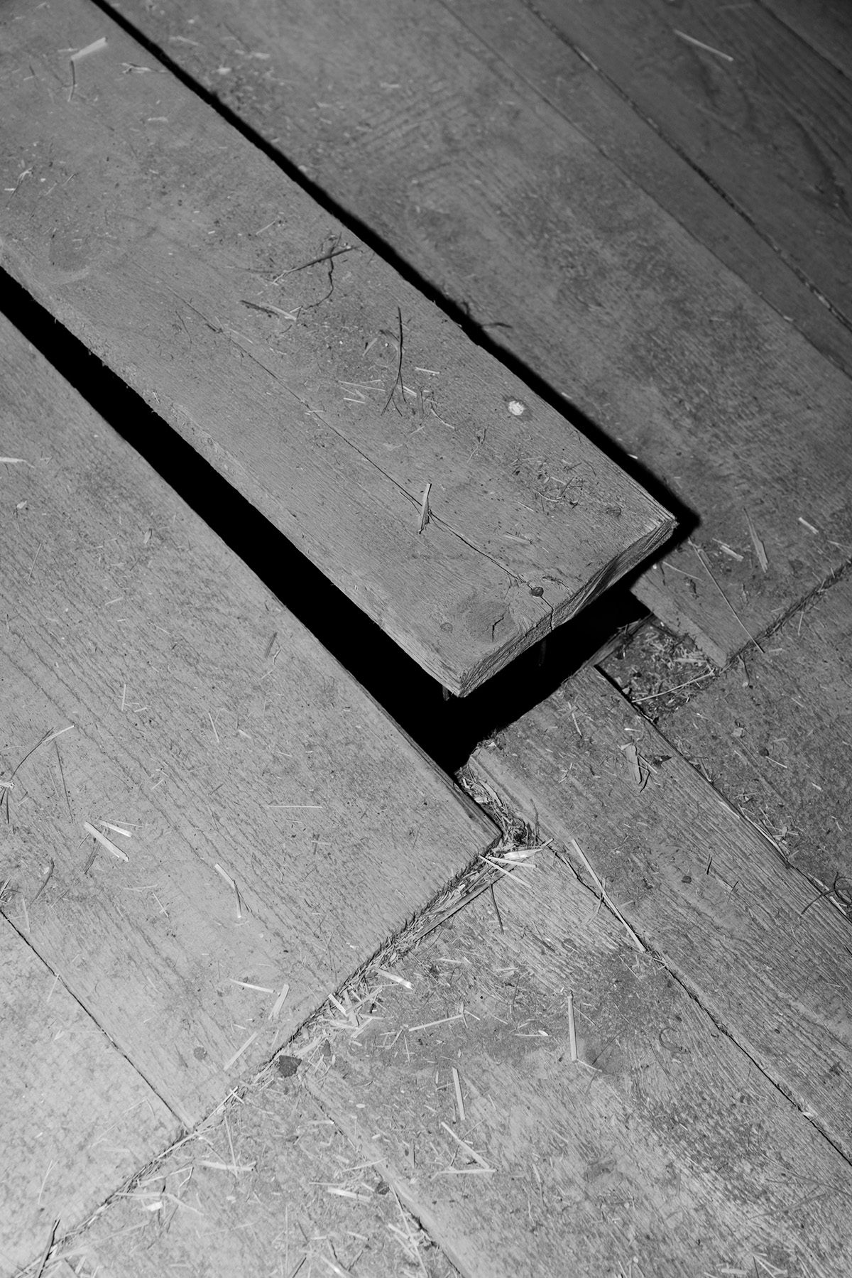 Black and white photograph from Plexus by Elena Helfrecht showing a floorboard protruding from the ground