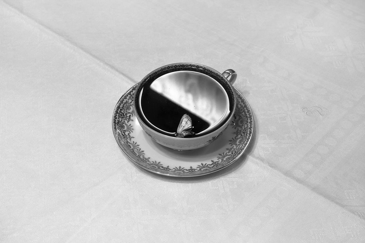 Black and white photograph from Plexus by Elena Helfrecht showing a porcelain teacup and saucer filled with liquid and a moth or butterfly floating in it