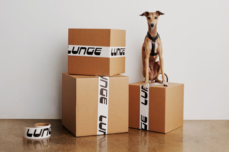 Image showing the identity for Lunge on packaging tape applied to boxes, which a dog is sat on top of