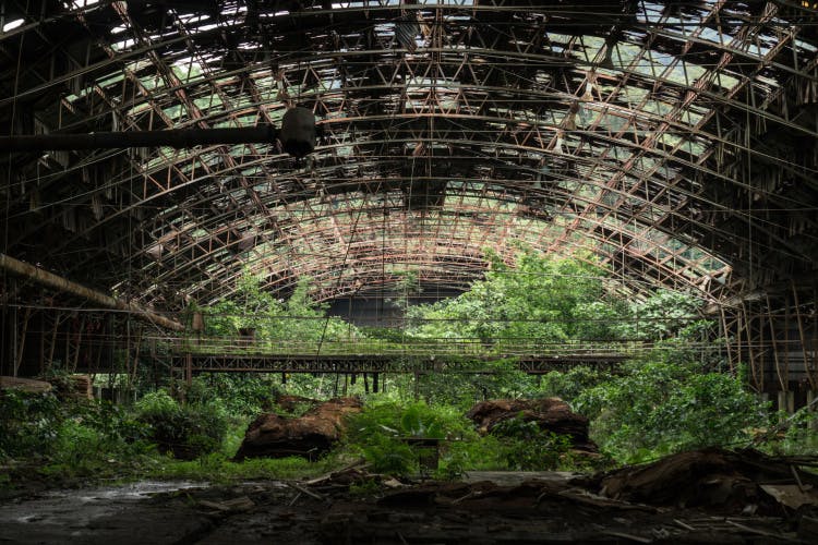 Photo from Project Urbex by Ikumi Nakamura showing a dilapidated, overgrown arena shaped building