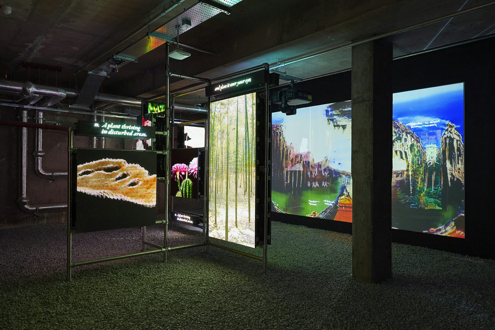 This is the Future by Hito Steyerl