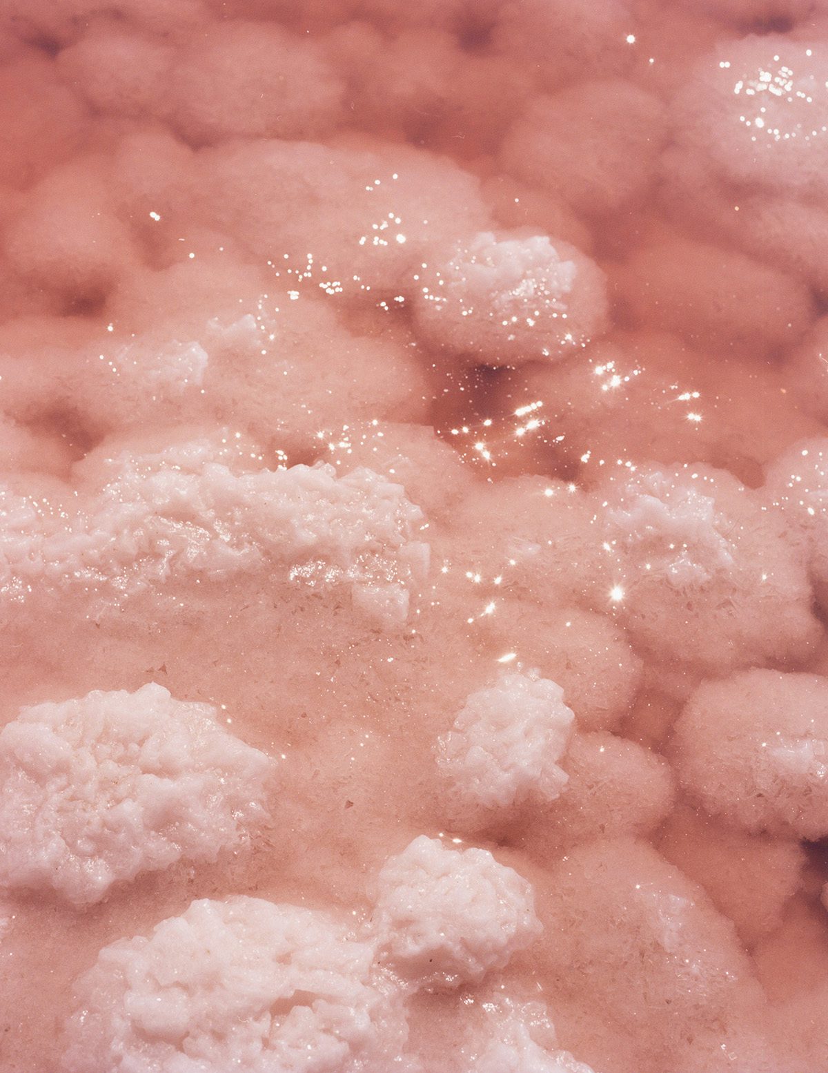 Pink foamy surface partly submerged in water
