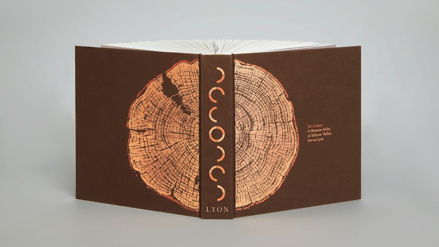 Front and back cover of a book featuring an illustration of the inside of a tree trunk