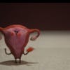 Still from a Libresse ad featuring a small felt puppet in the shape of a uterus