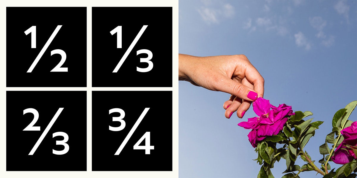 Numbers laid out in Fortnum & Mason's new sans serif typeface next to a photo of a hand touching a pink flower