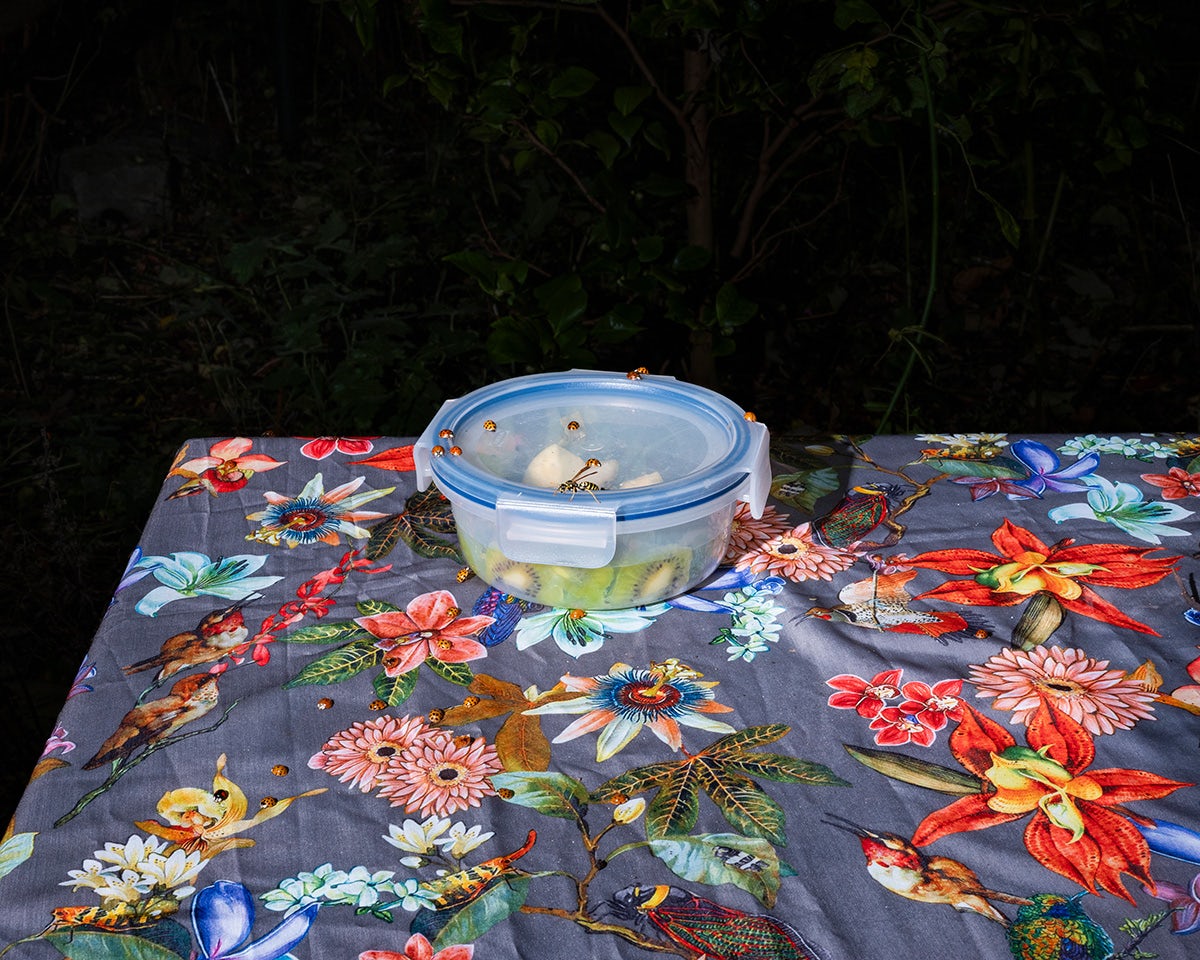 A tupperware box of fruit covered in ladybugs, sat on top of a table covered in a brightly patterned tablecloth of flowers and birds