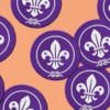 Circular purple badges featuring the World Scouting fleur de lis emblem