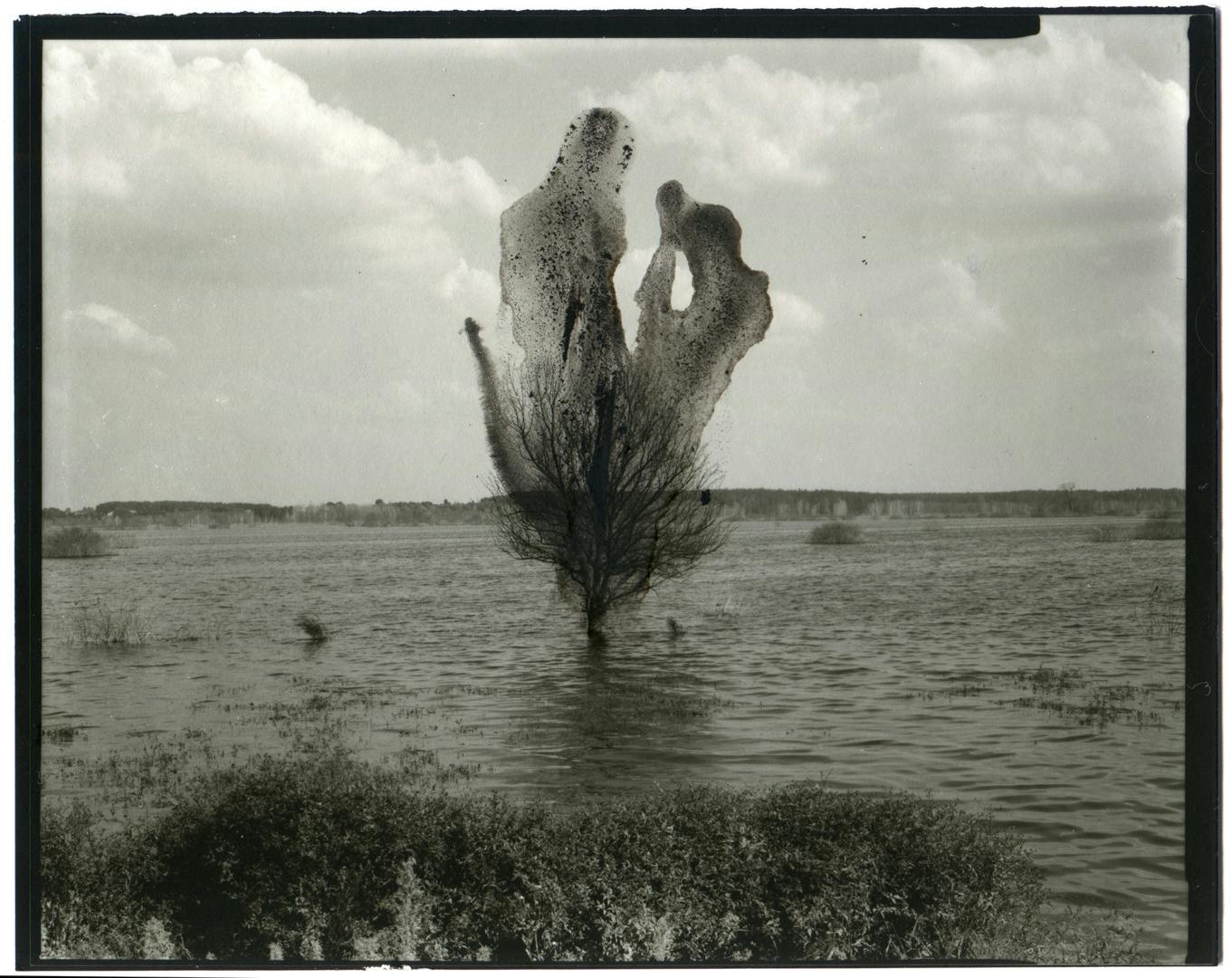 Black and white photo of a tree partly covered by a flood, which is smeared by liquid on top of the photo