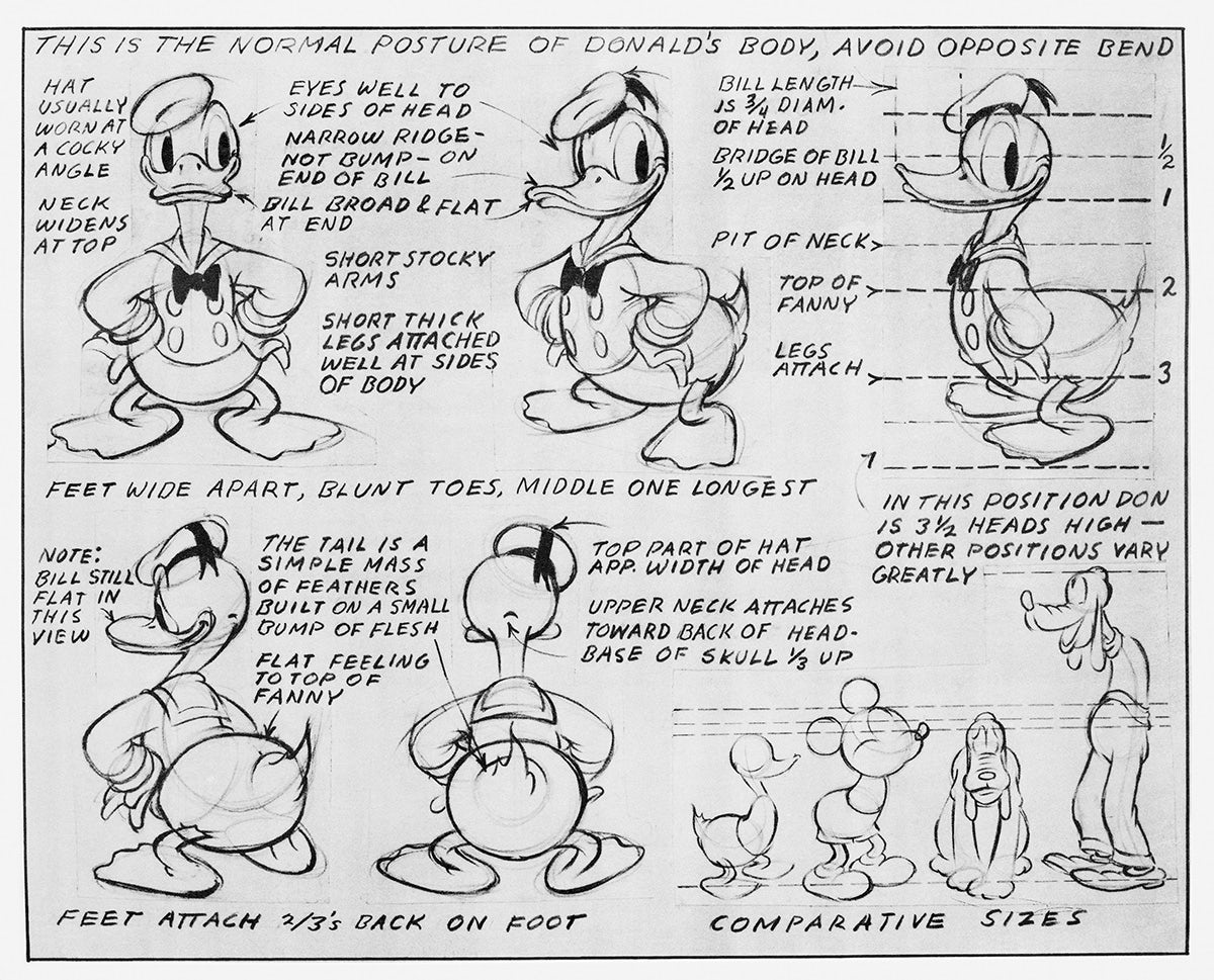 A page of Donald Duck sketches showing different how to draw the character from different angles