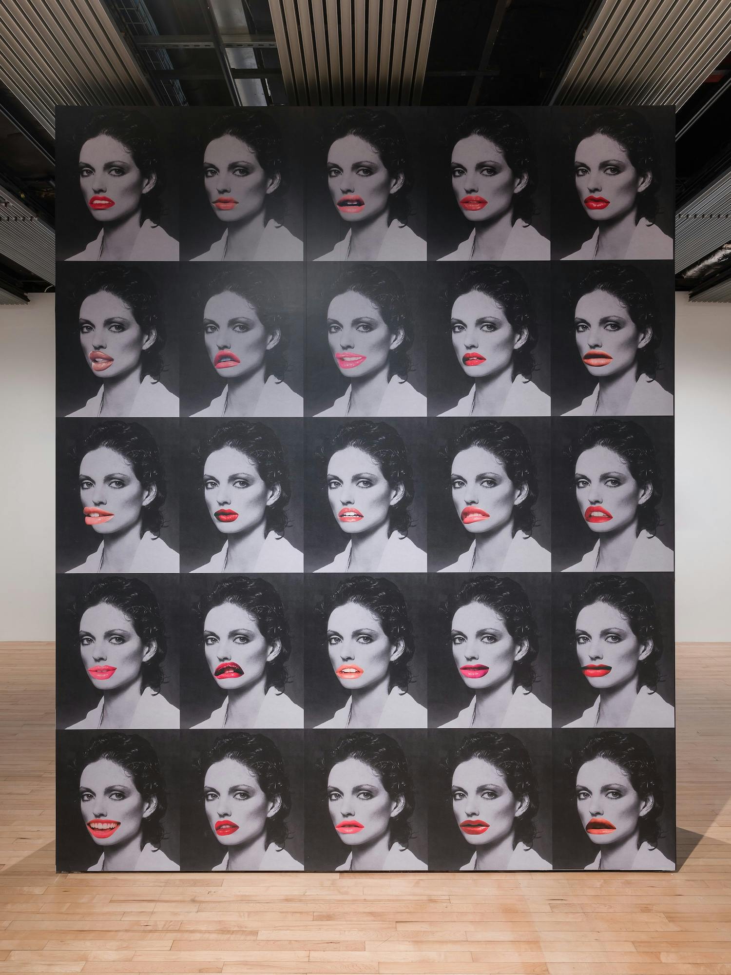 Installation view of Linder_ Danger Came Smiling. Photo_ Mark Blower. Courtesy the artist and the Hayward Gallery.