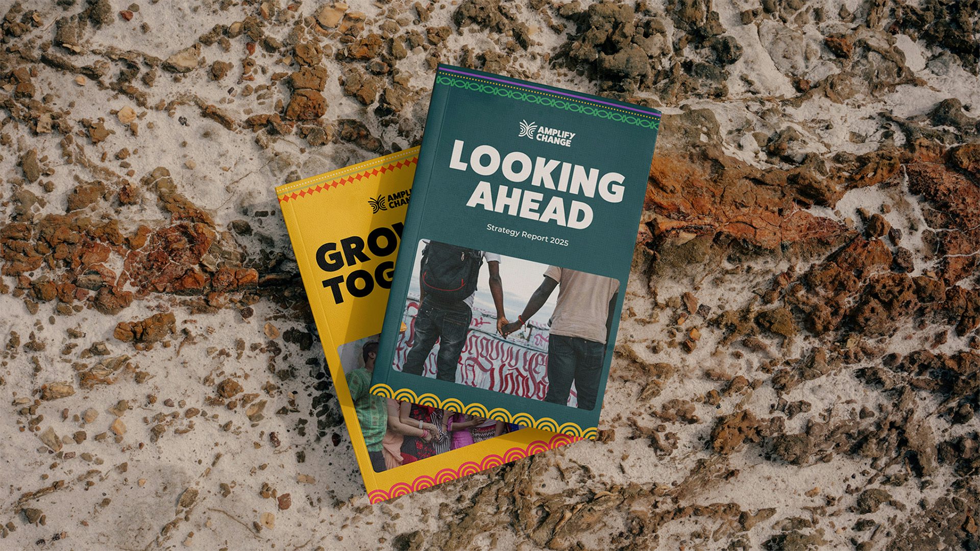 Booklet headlined 'looking ahead' and a photo of people holding hands