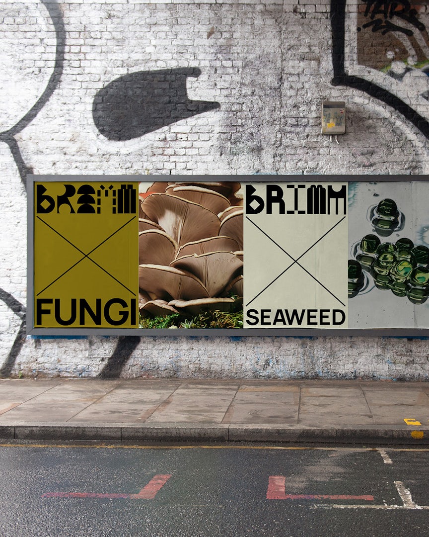 Flyposters featuring the wordmark 'BRiMM' in different abstract letterforms and images of mushrooms and seaweed