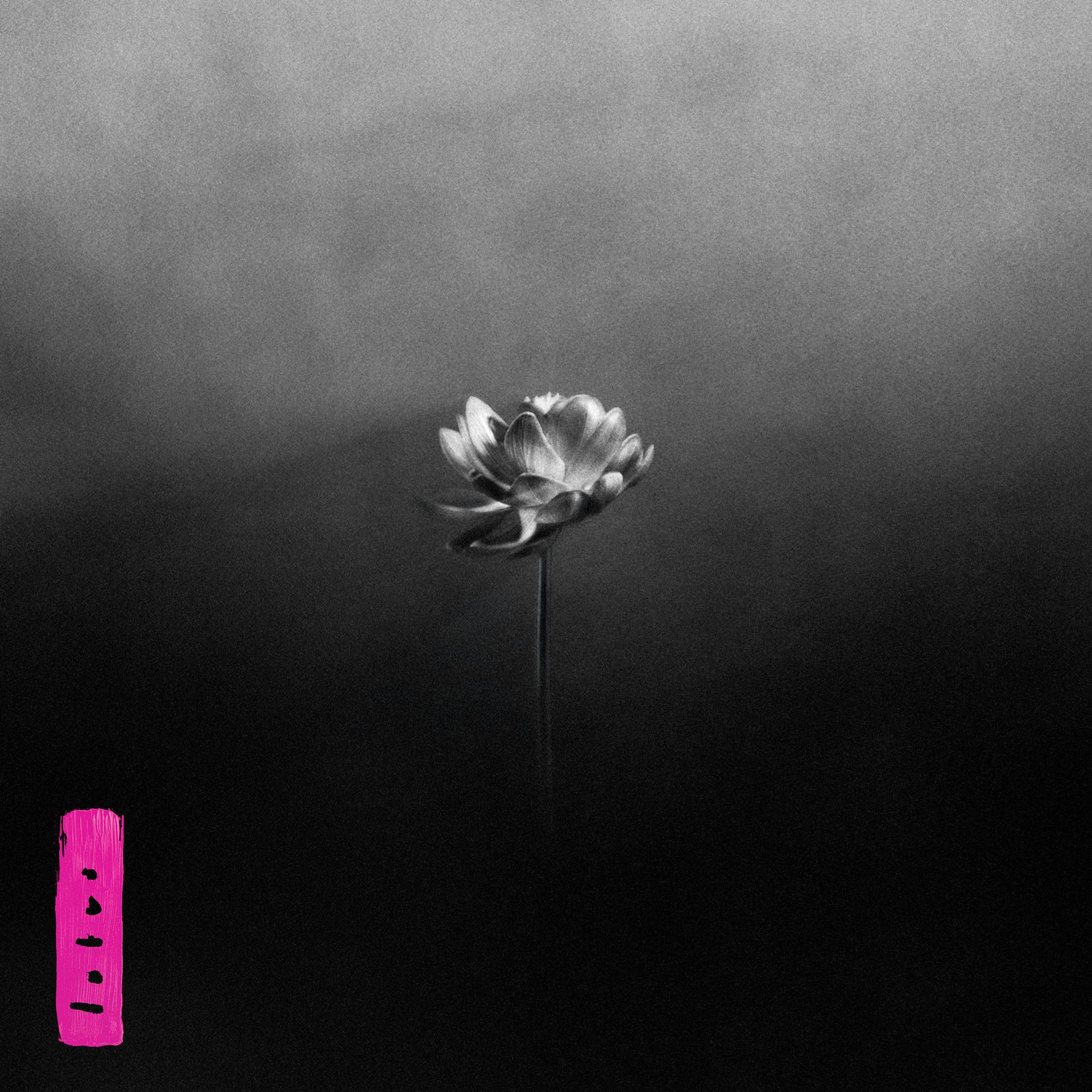 Cover art of Lotus by Little Simz featuring a black and white image of a lotus flower