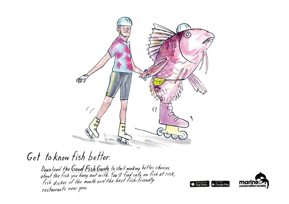 ‘Get to know fish better’ with the Good Fish Guide