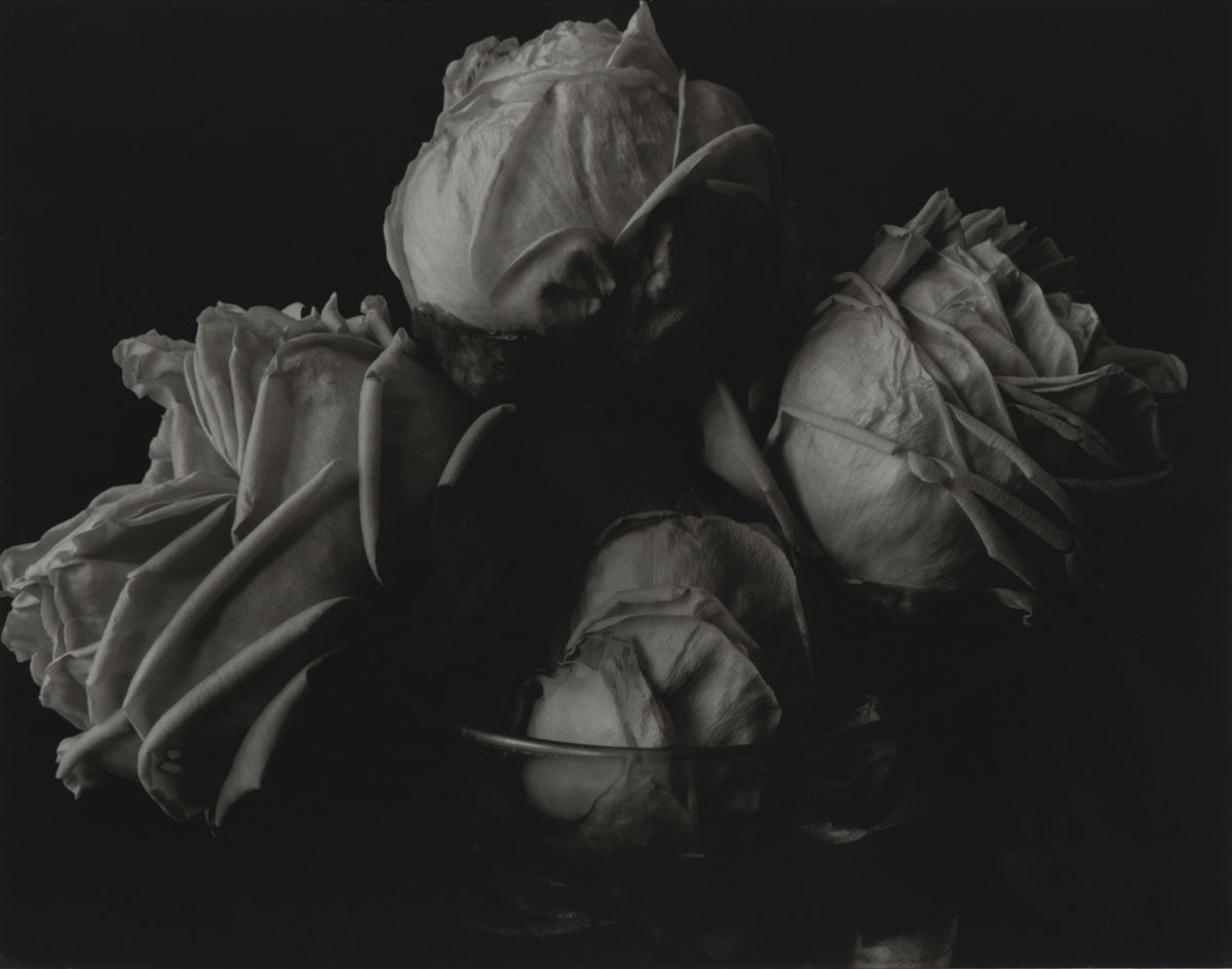 Paul Arden’s photography collection