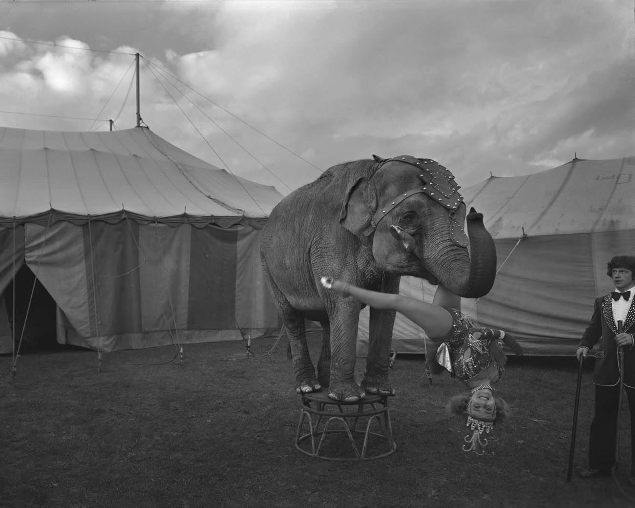 50 years of circus portraits by Peter Lavery - Creative Review