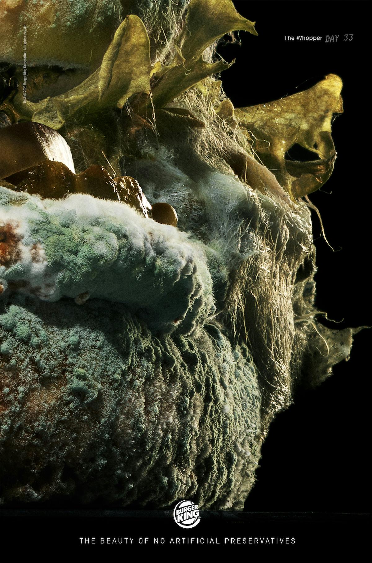 An image of a moldy burger