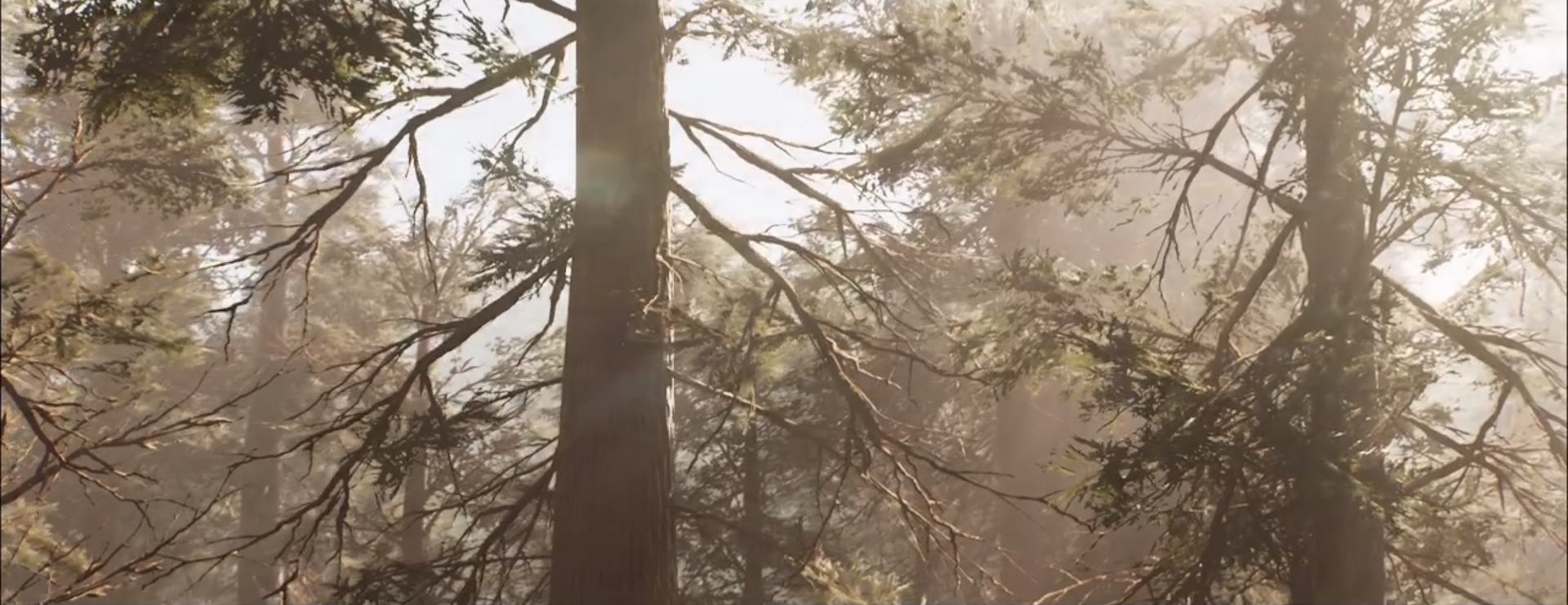 A still from one of Serpentine gallery's virtual exhibitions