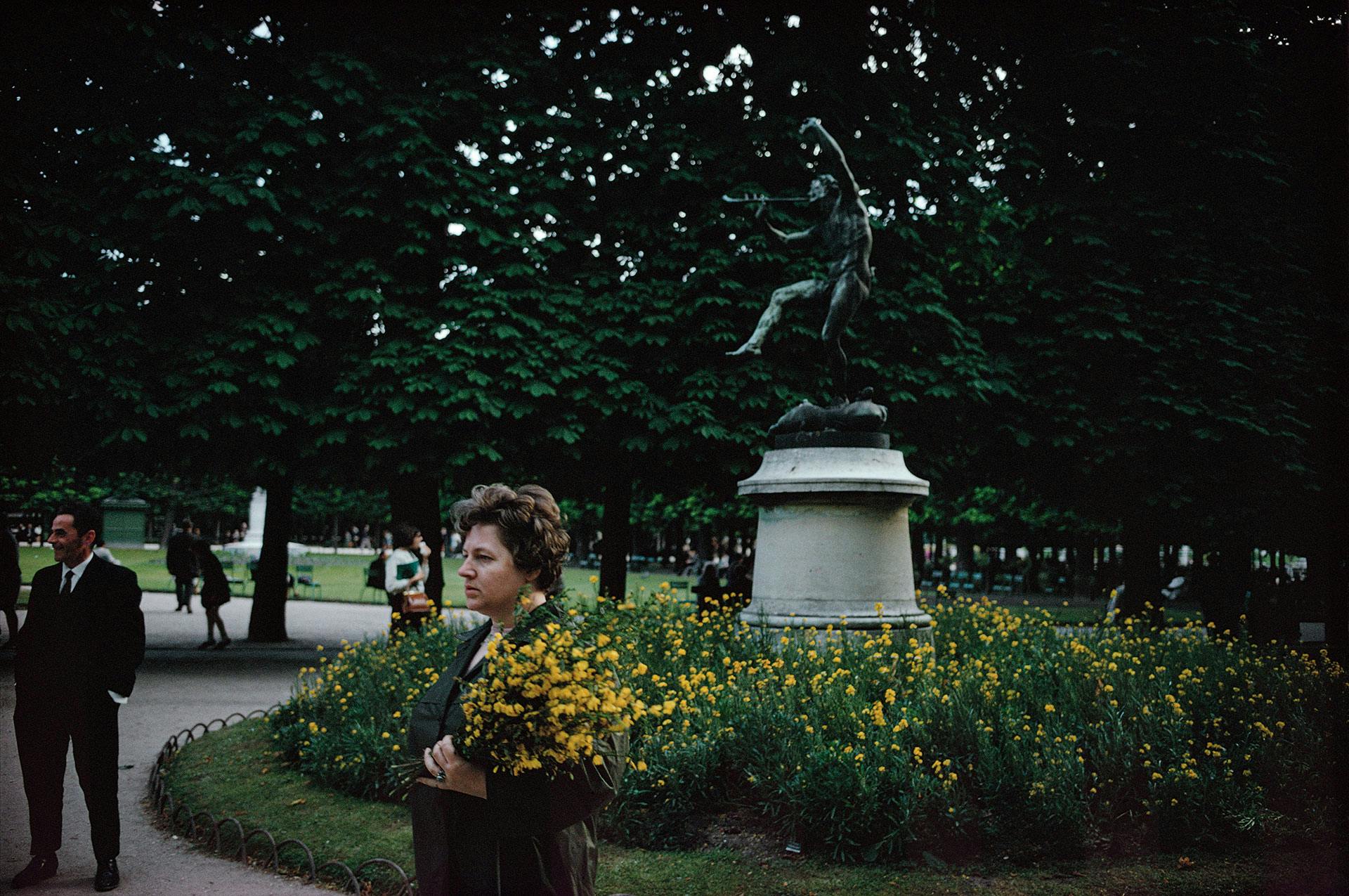 Joel Meyerowitz re-releases his photobook Wild Flowers