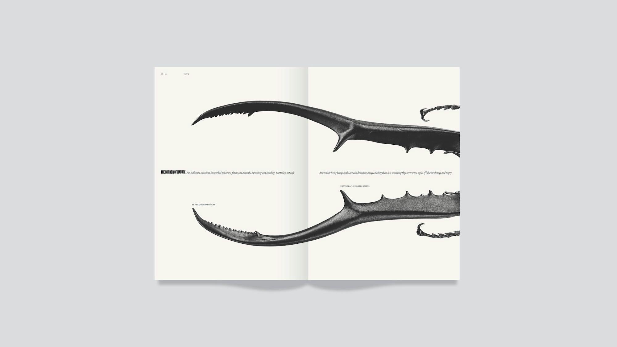 Inque Magazine editorial design