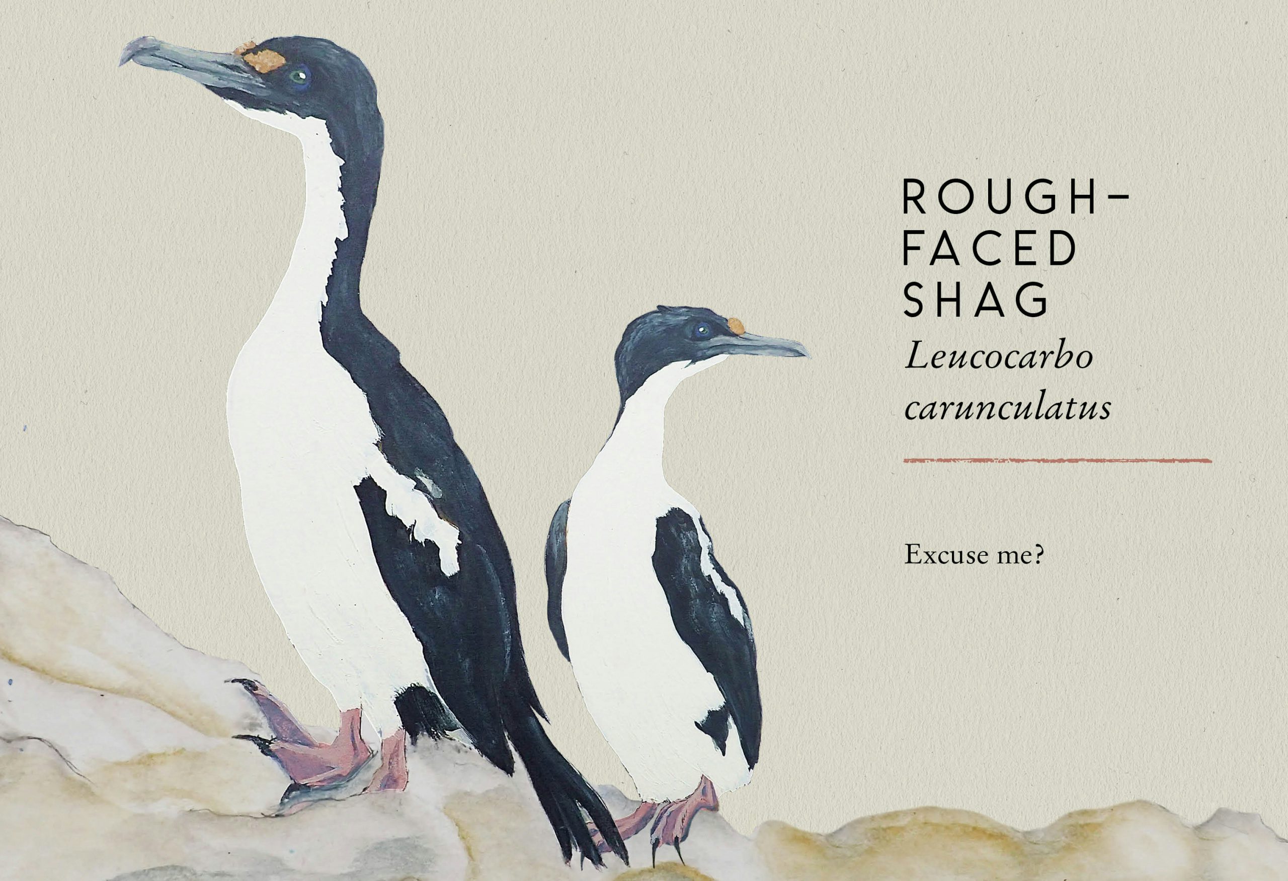 Stu Royall Tits Boobie Loons 1