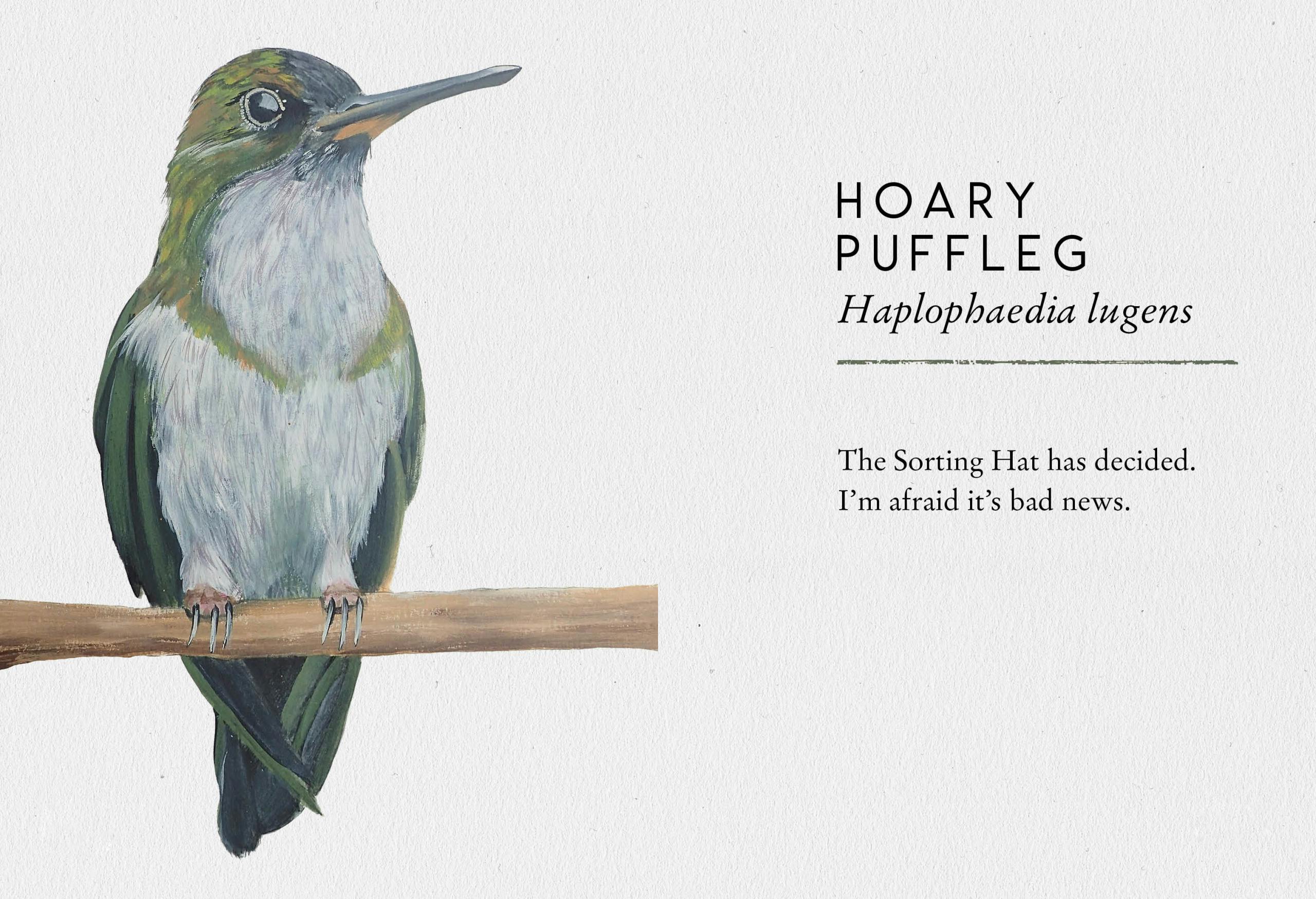 Stu Royall Tits Boobie Loons 2