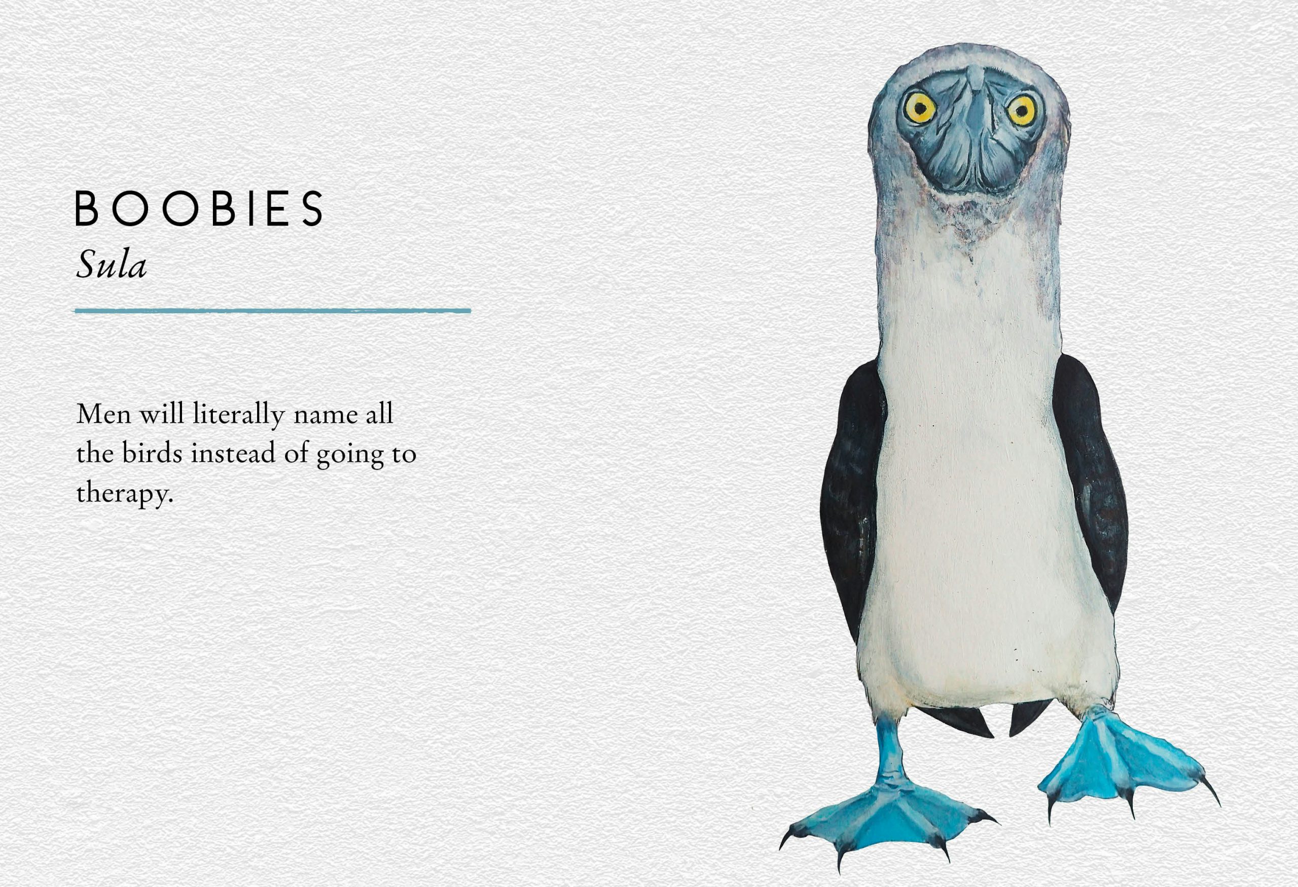 Stu Royall Tits Boobie Loons 3