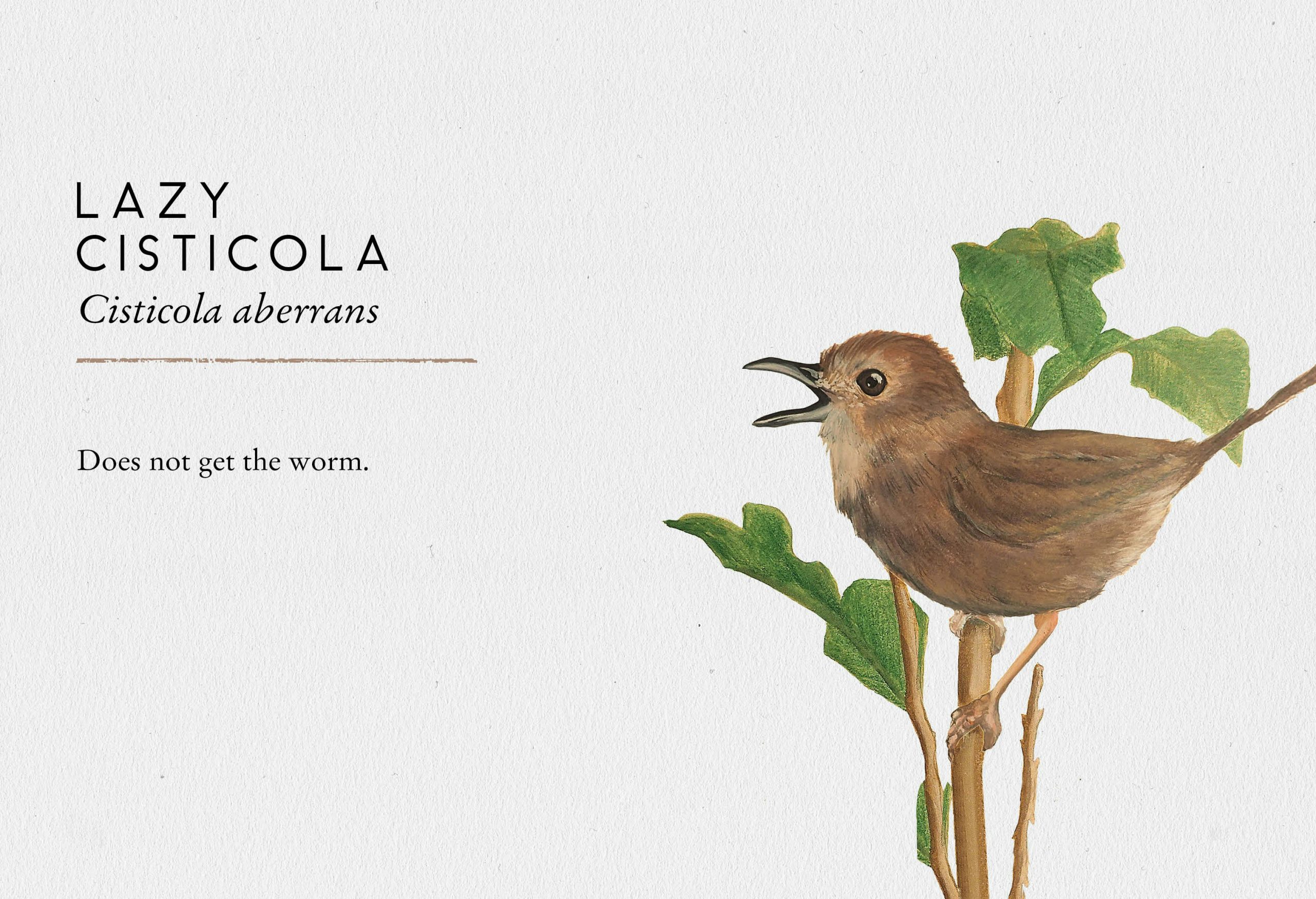 Stu Royall Tits Boobie Loons 4