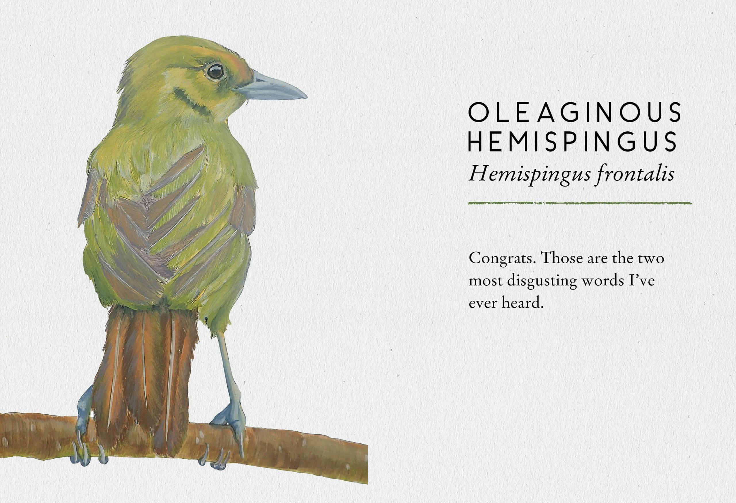 Stu Royall Tits Boobie Loons 5