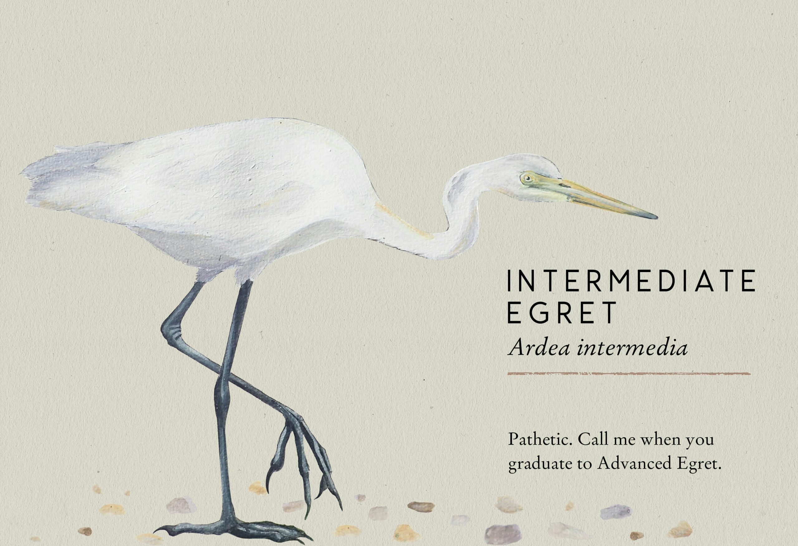 Stu Royall Tits Boobie Loons 6