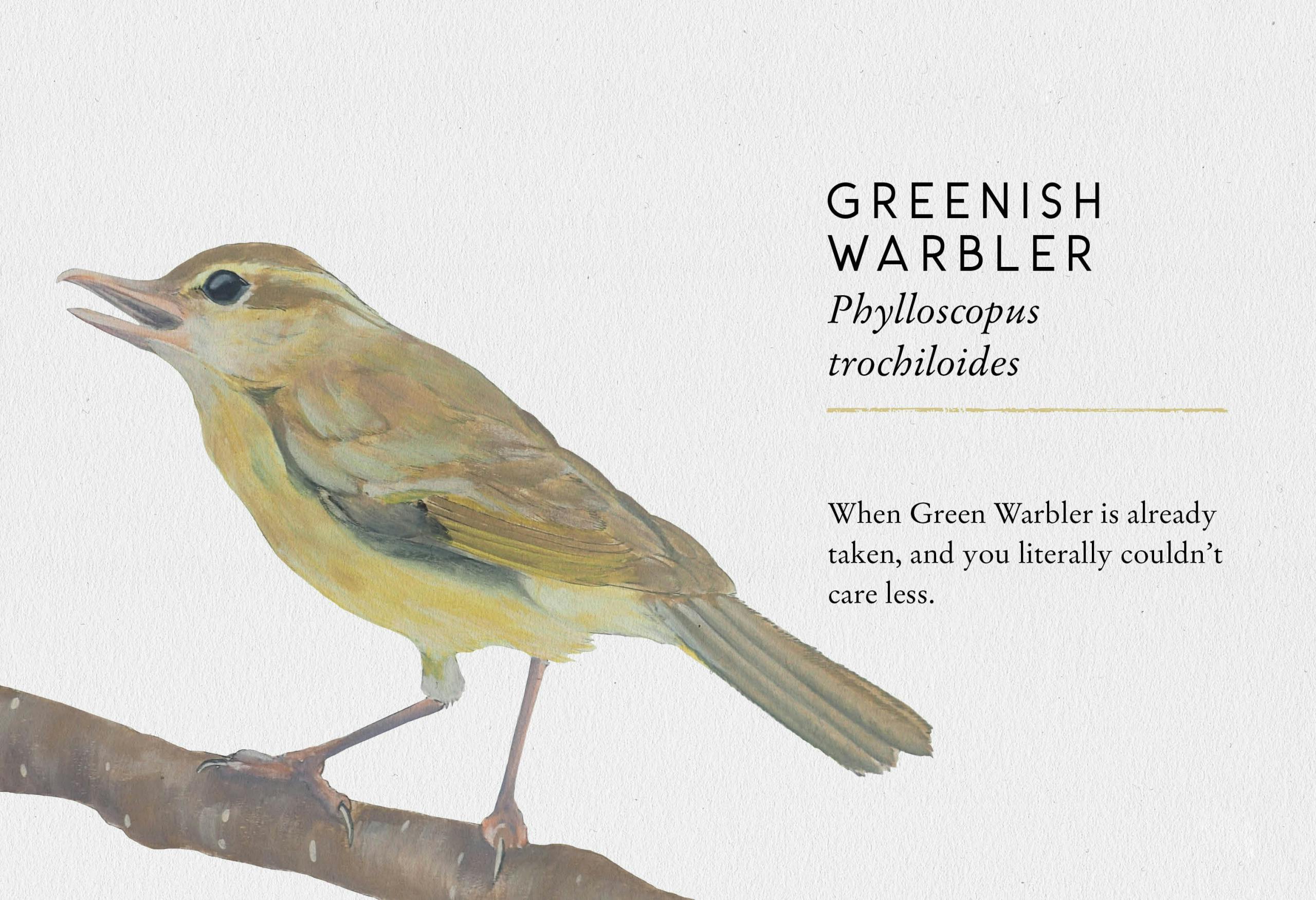 Stu Royall Tits Boobie Loons 7