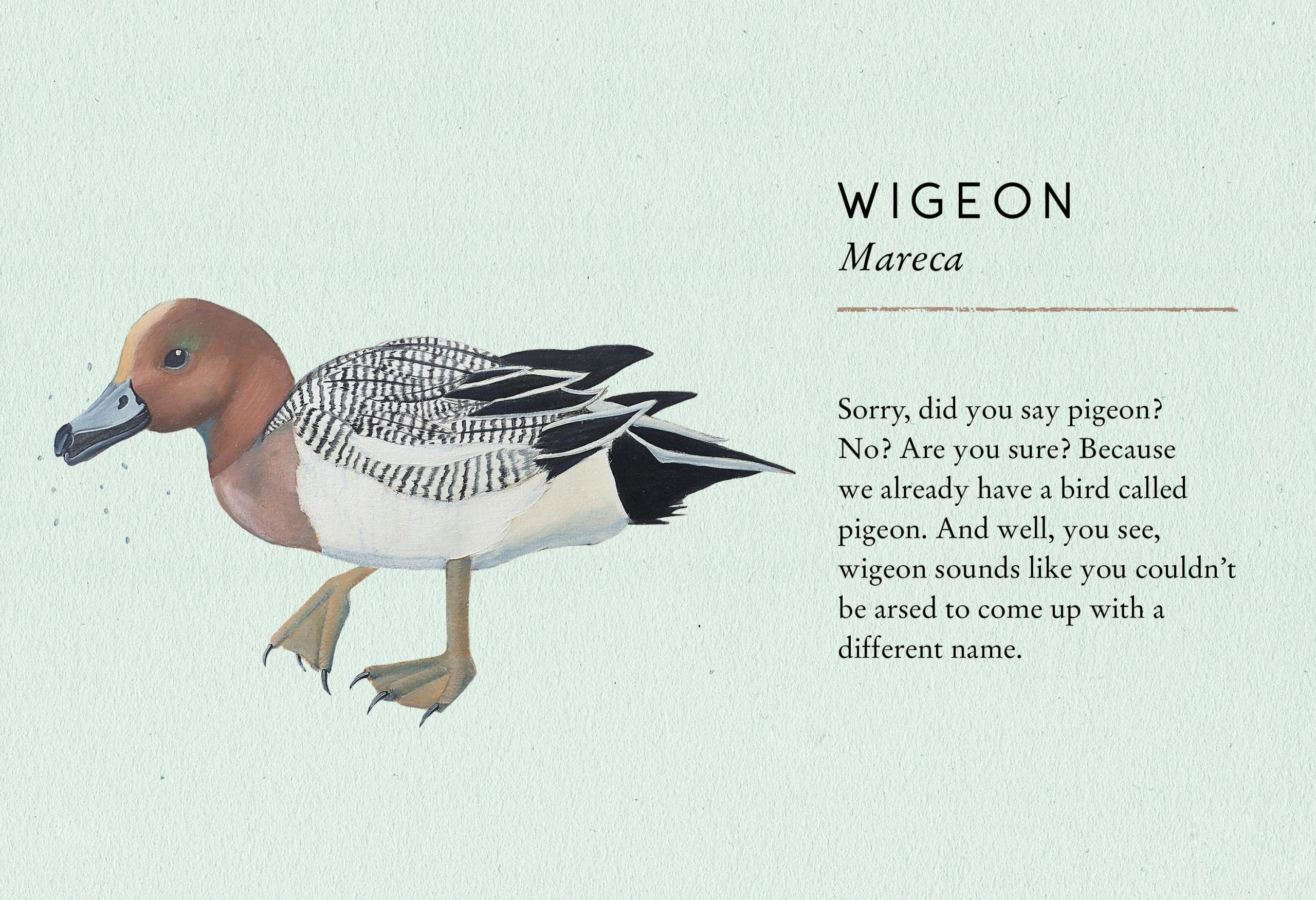 Stu Royall Tits Boobie Loons 8