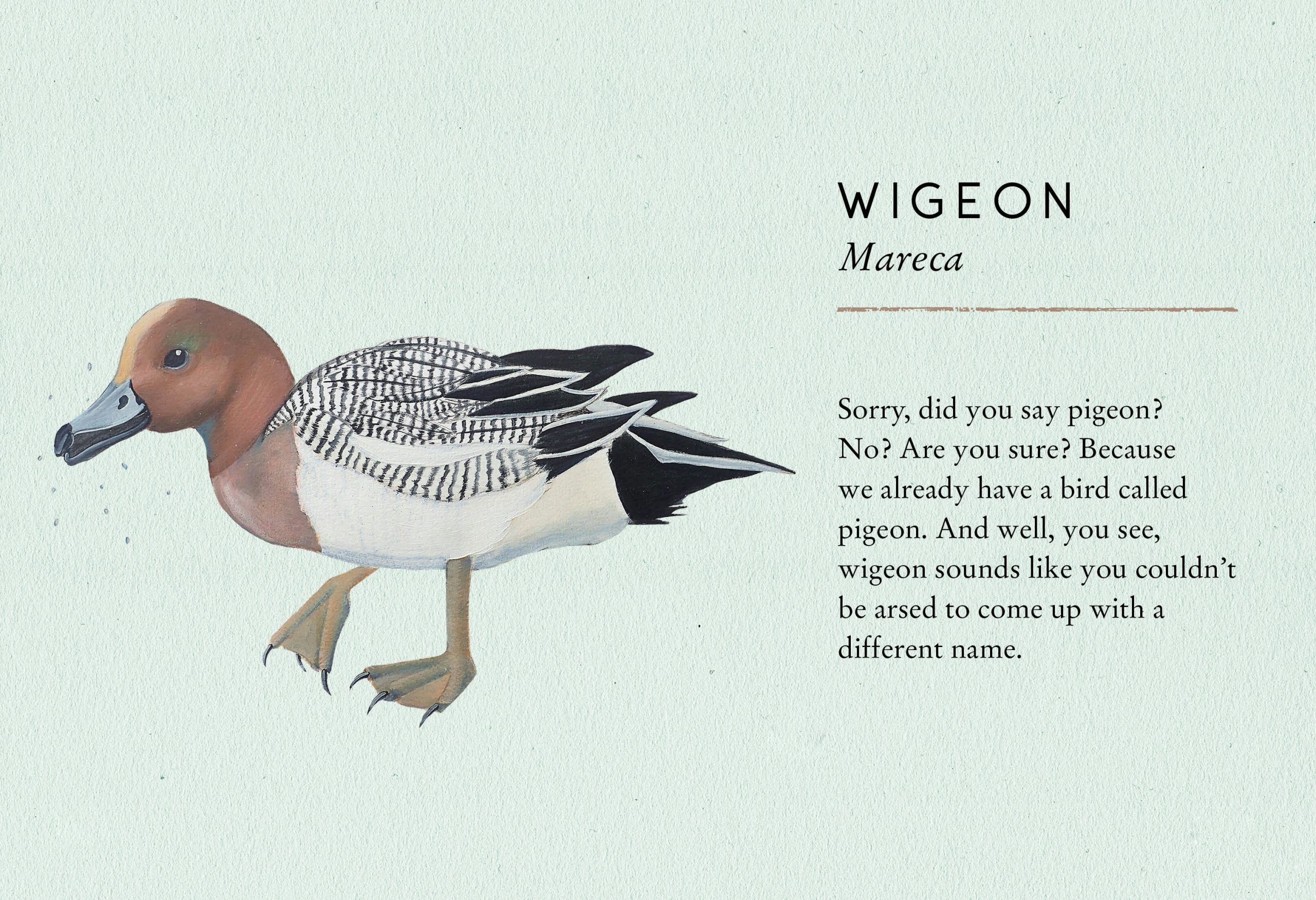 Stu Royall Tits Boobie Loons 8