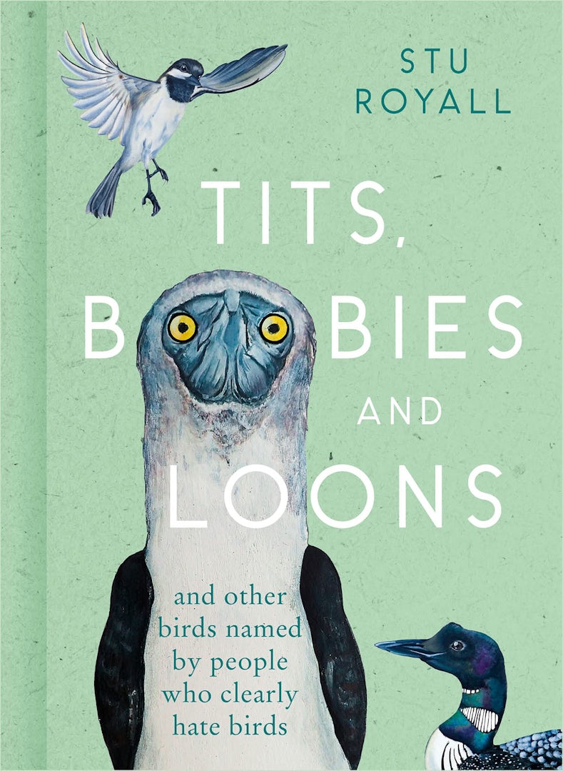 Stu Royall Tits Boobies Loons Cover