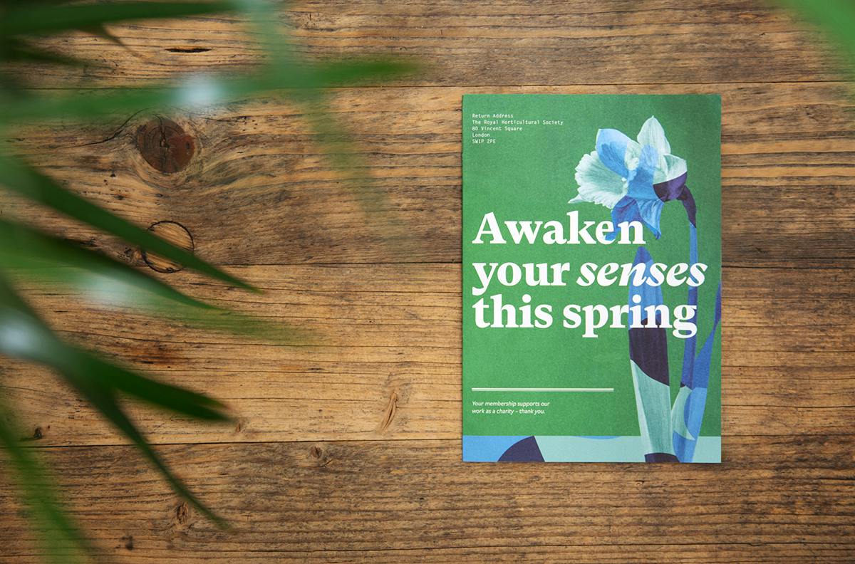 A colourful rebrand for gardening charity RHS