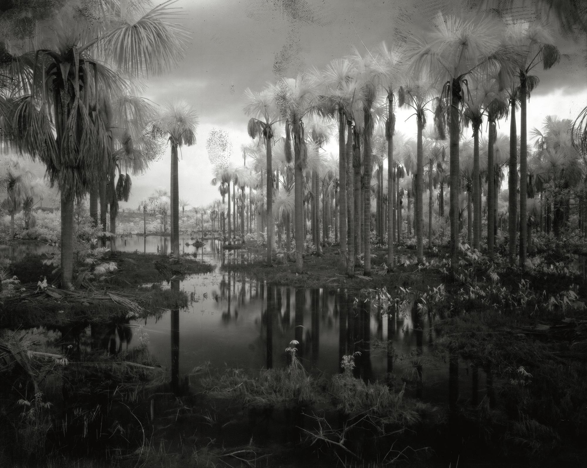 Richard Mosse: Broken Spectre