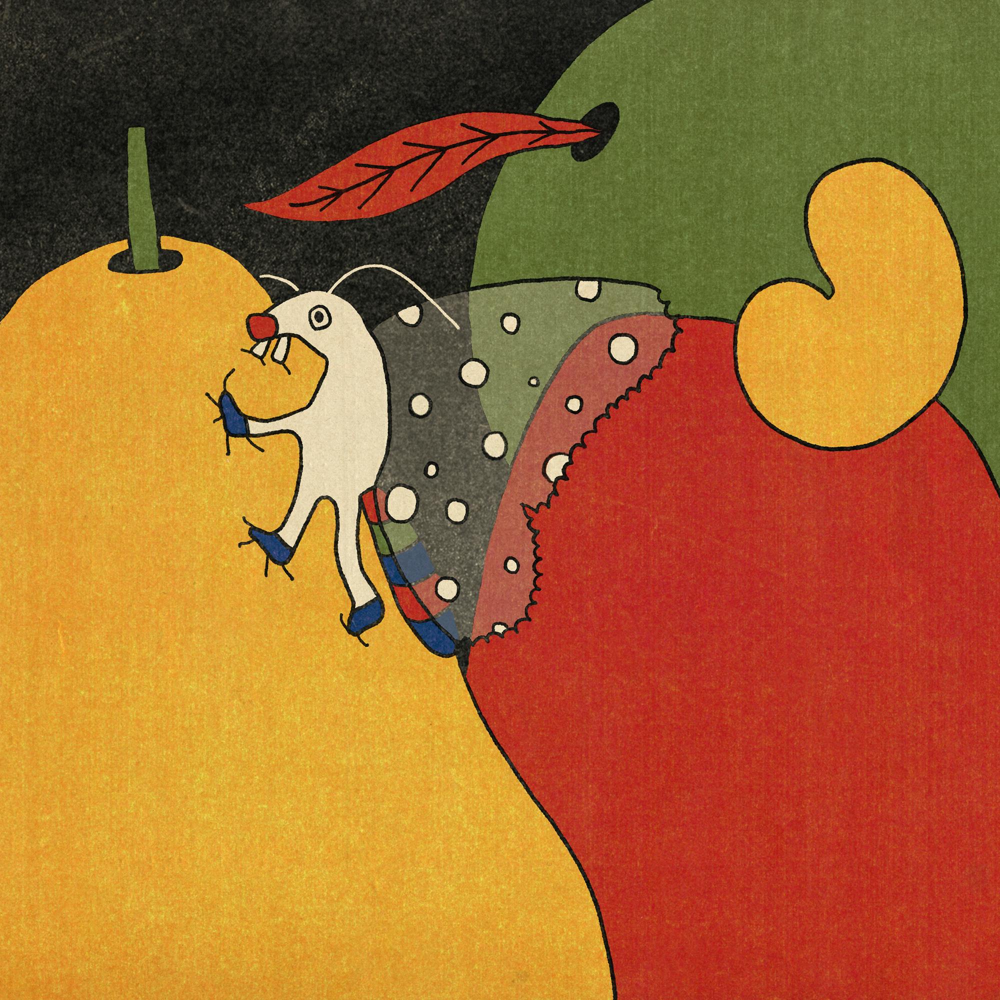 Raysa Fontana, drawing