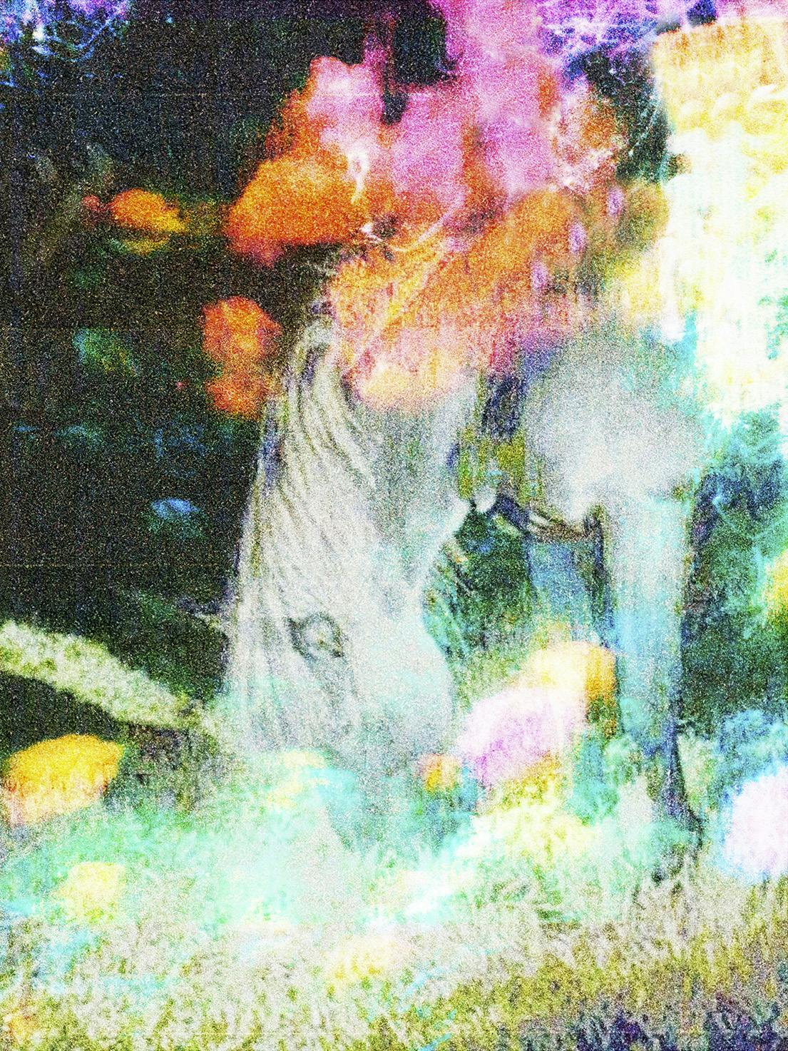 The Horses by Gareth McConnell