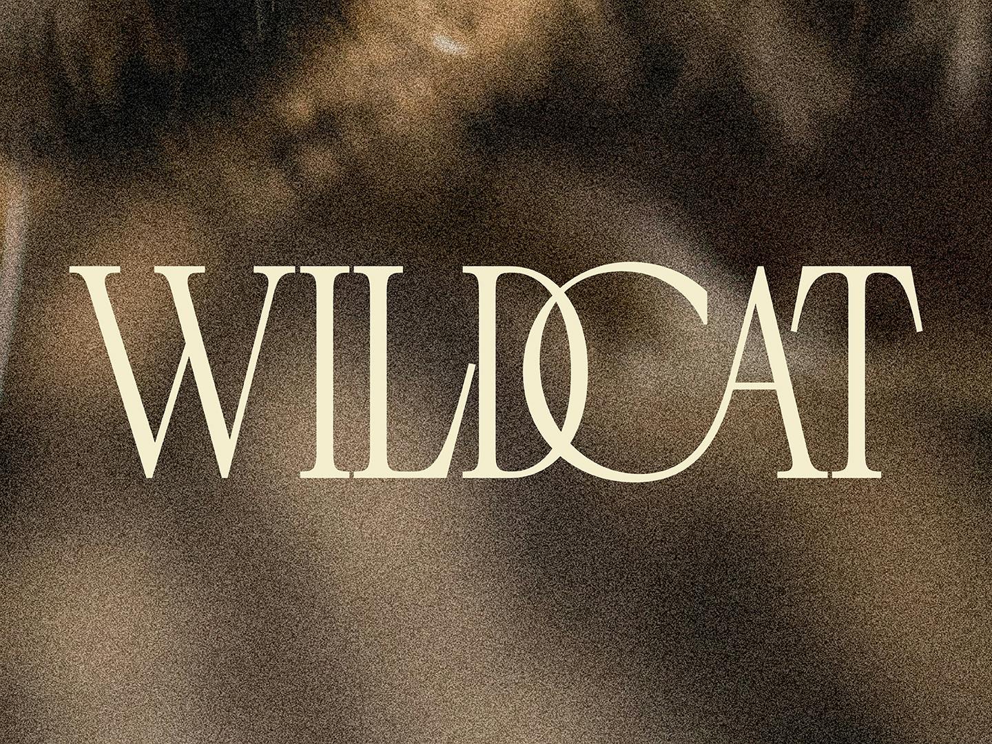 Amazon Studios: Wildcat type design