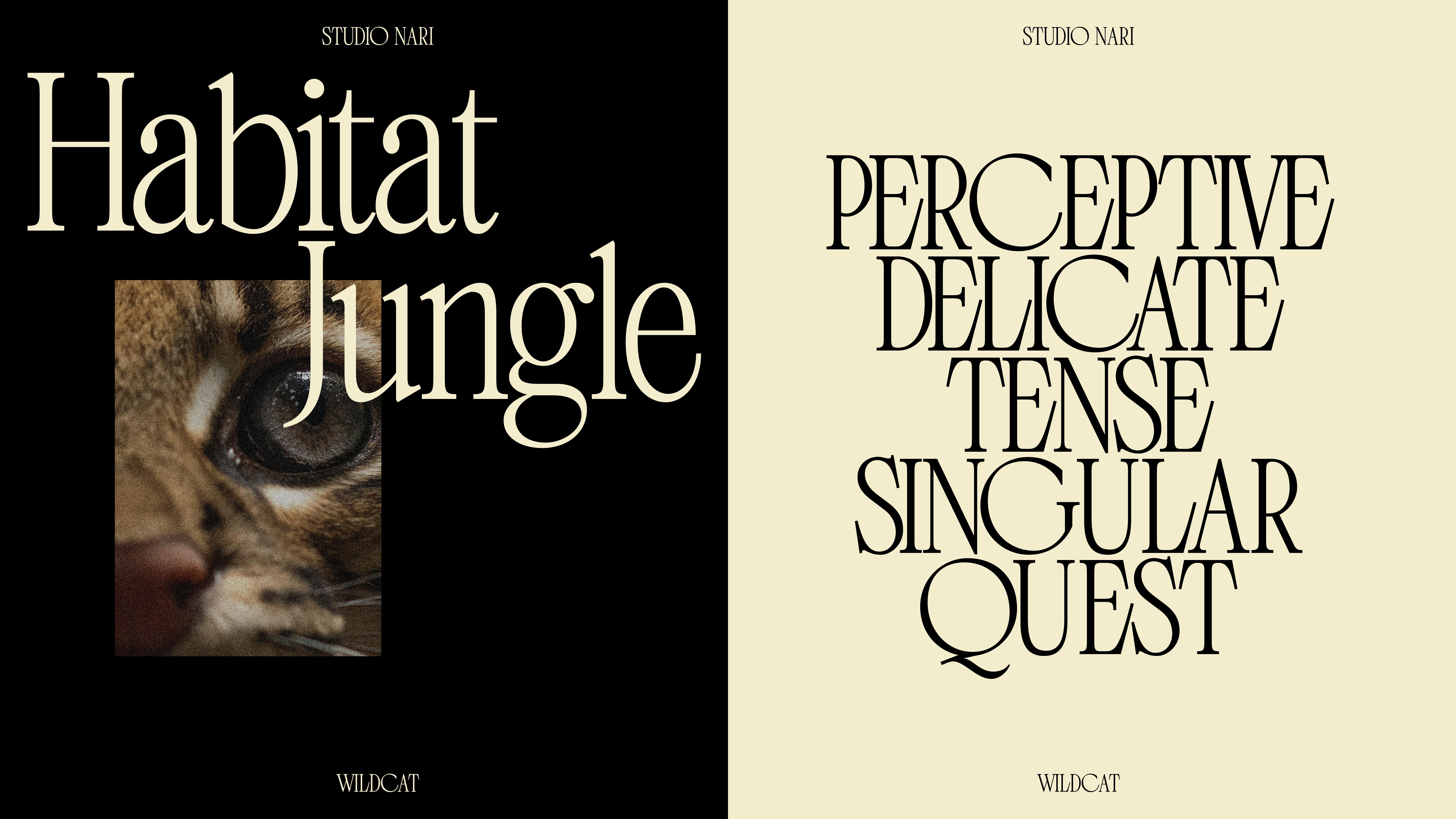 Amazon Studios: Wildcat type design