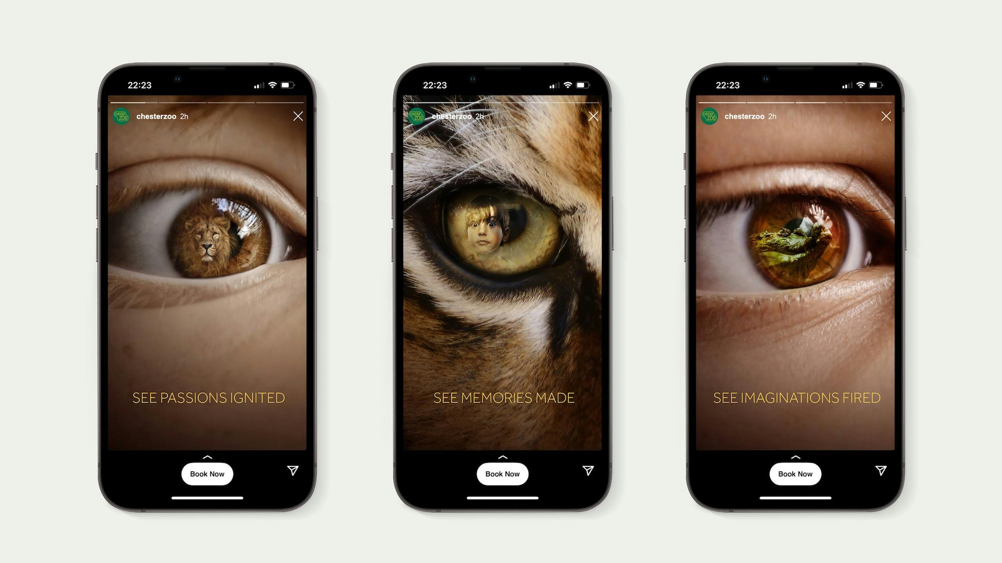 Chester Zoo: Wondrous Place campaign