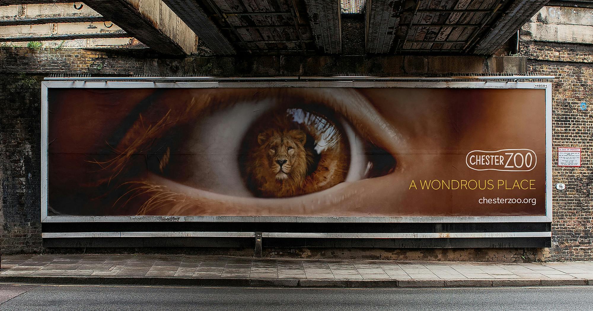 Chester Zoo: Wondrous Place campaign