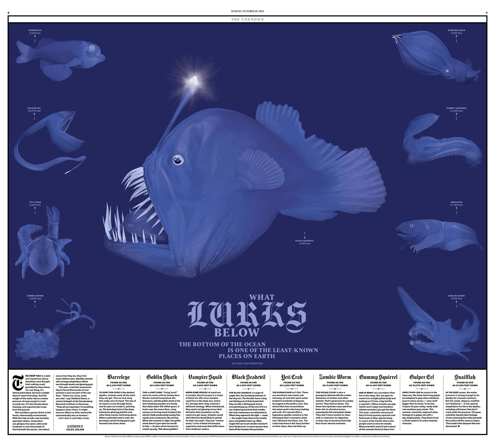 The New York Times For Kids editorial design