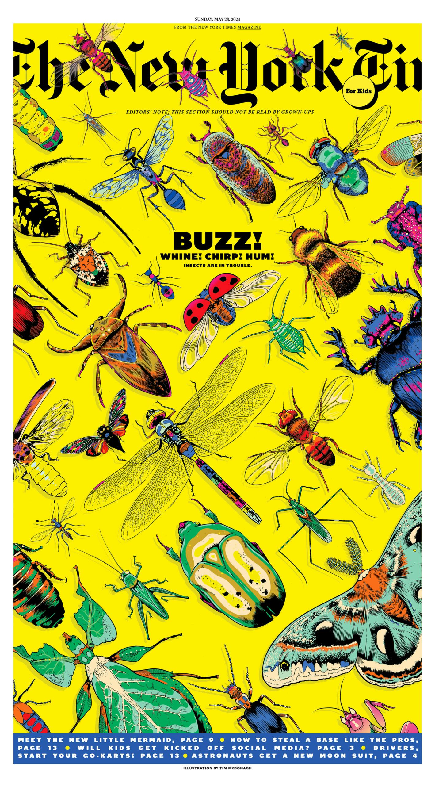 The New York Times For Kids editorial design
