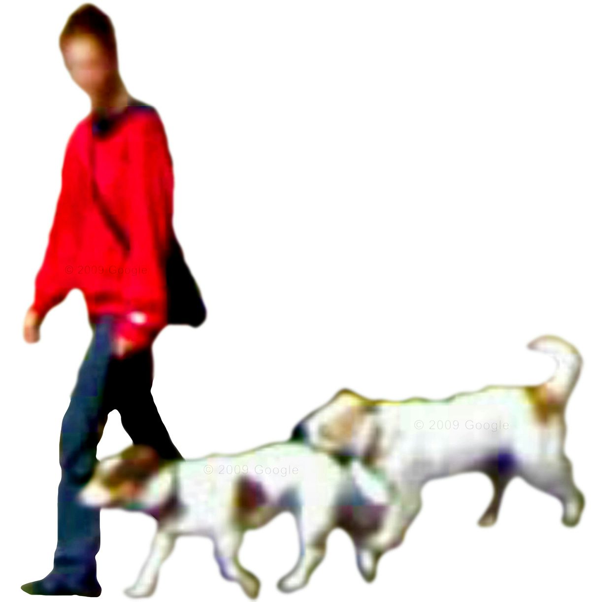 Blurred cut out of a figure wearing a red coat and walking two dogs taken from Google Street View